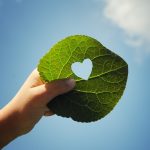 Auf dem Weg zu einer ausgeglichenen CO2 Bilanz